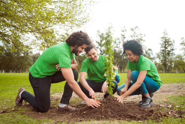 Three people in green shirts are planting a tree.